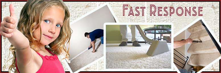 Carpet Cleaning West Hollywood, CA | 323-331-9402 | Steam Clean