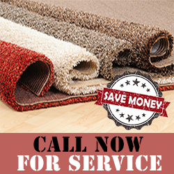 Contact Our Carpet Cleaning Services