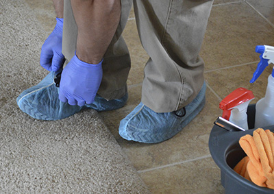 Cleaning Mold from Carpet